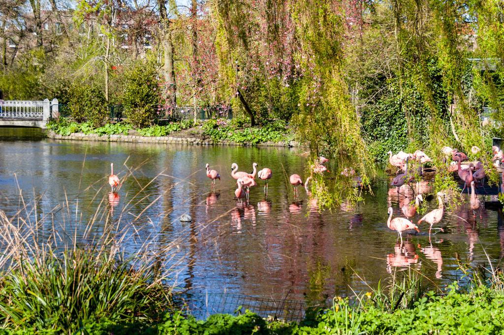 Hotel Park Plantage Amsterdam Exteriér fotografie